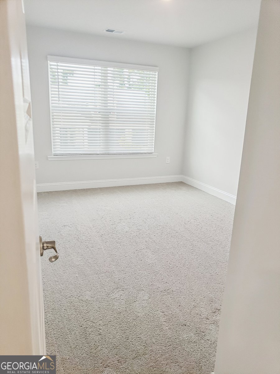111 Vineyard Walk Carrollton - 14