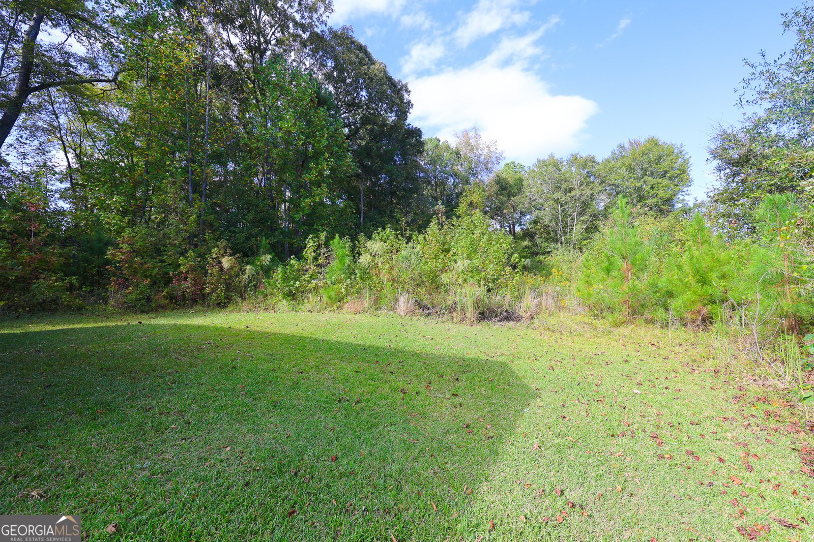 1142 Hammett Road Lagrange - 4