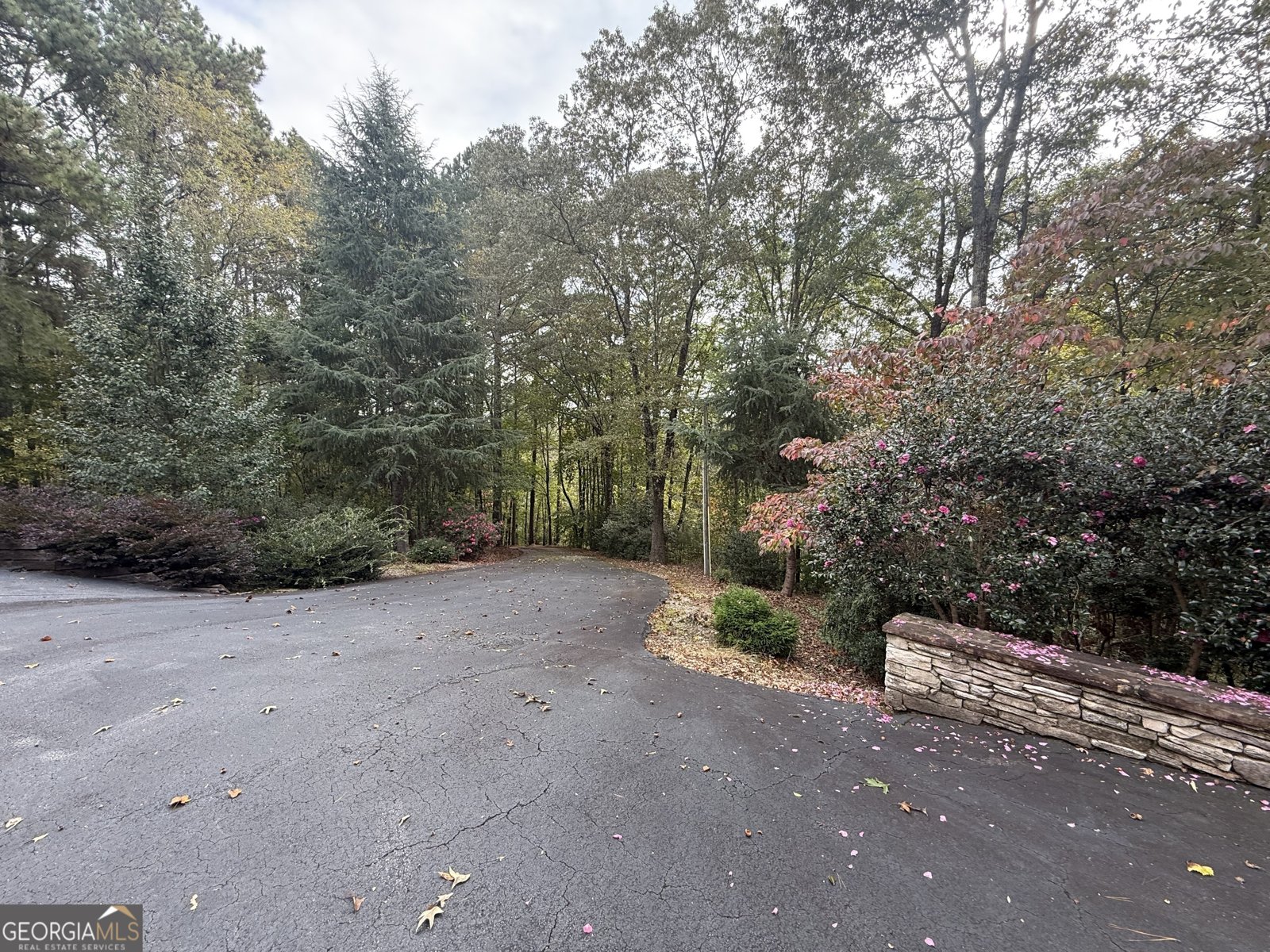 47 Sage Brush Drive Cleveland - 46