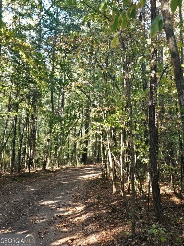 120 Covenant Court McDonough - 17