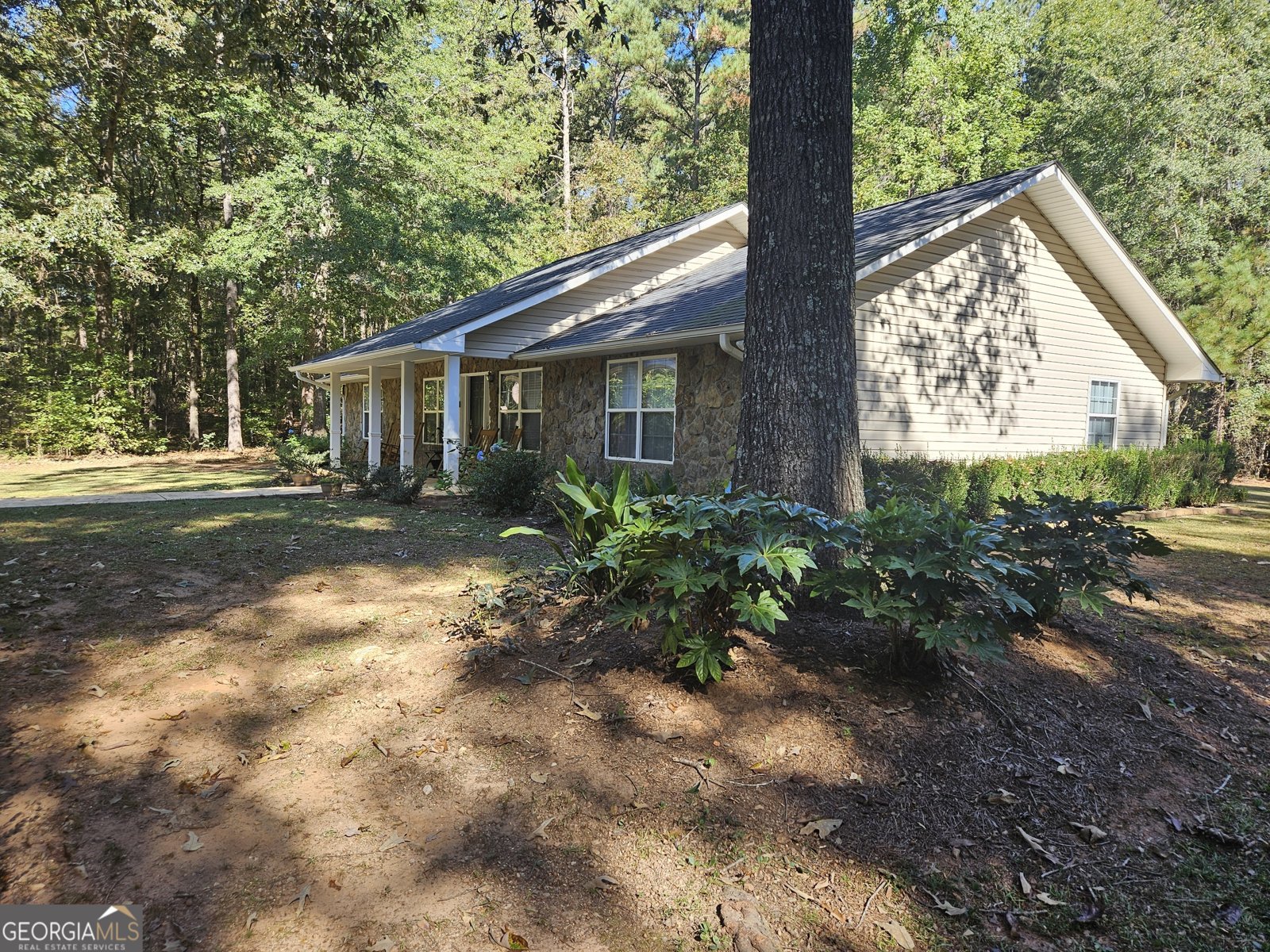 101 Brushy Creek Circle Jackson - 14
