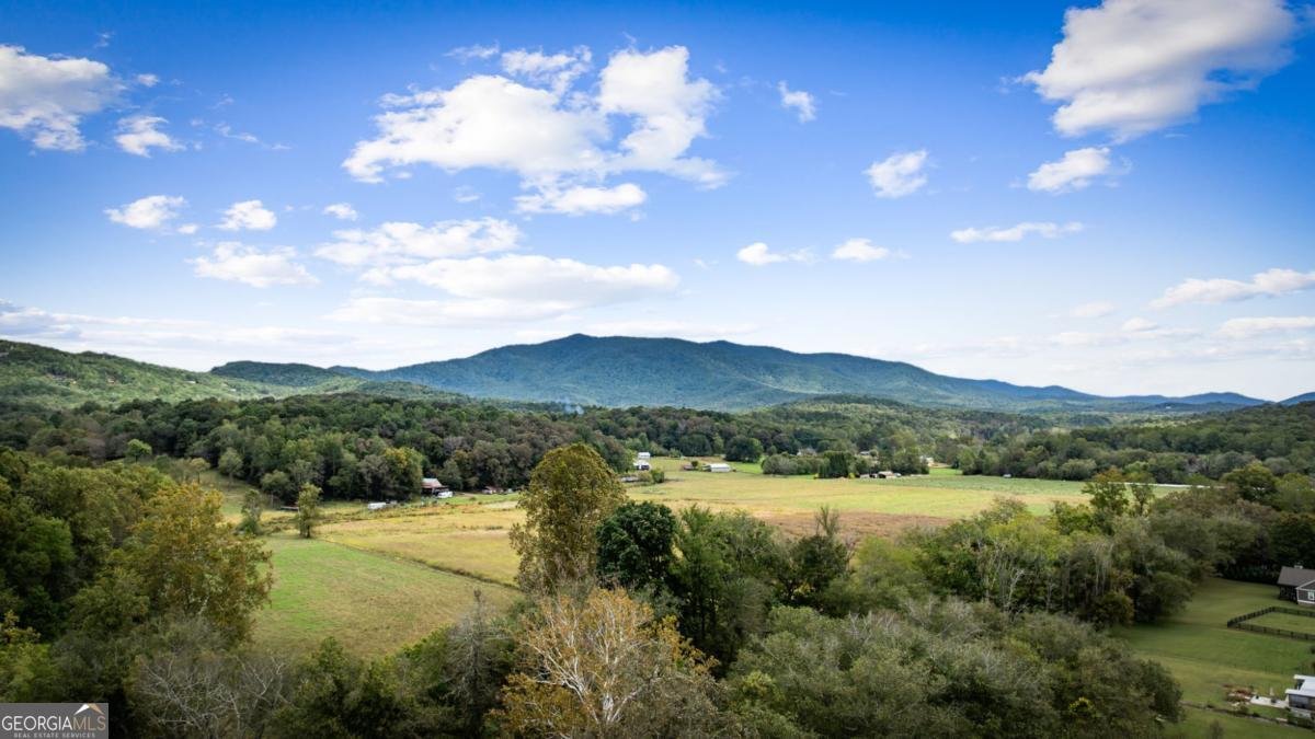 450 Cartecay River Run Ellijay - 4