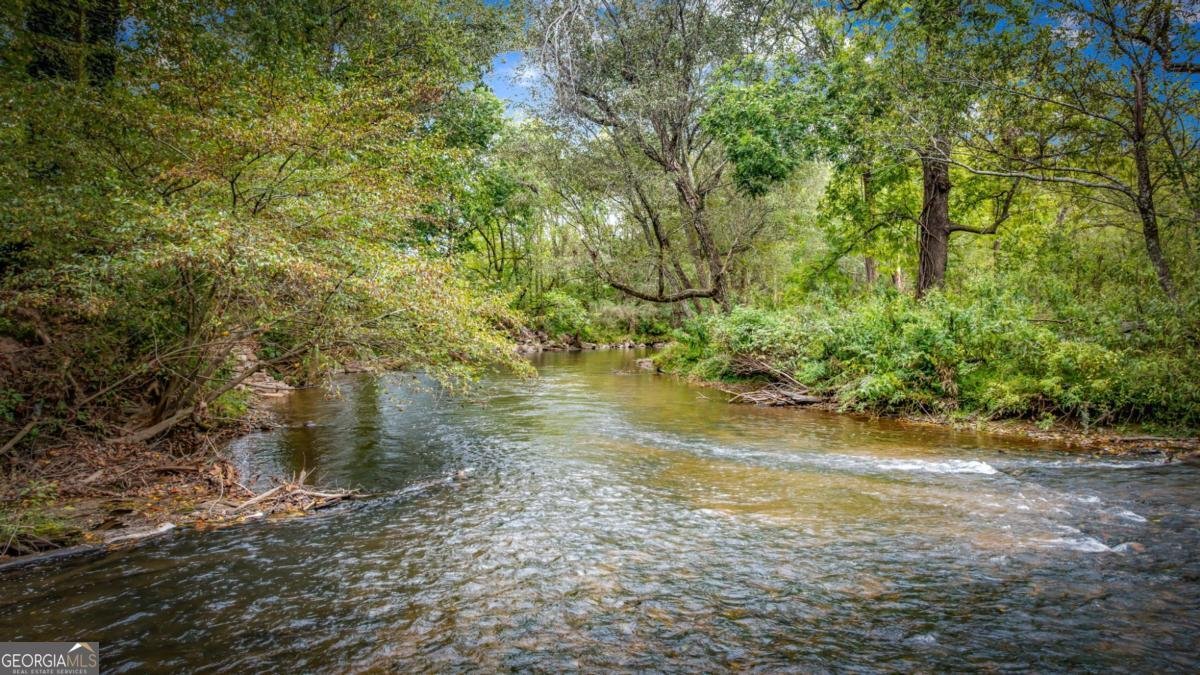 450 Cartecay River Run Ellijay - 5