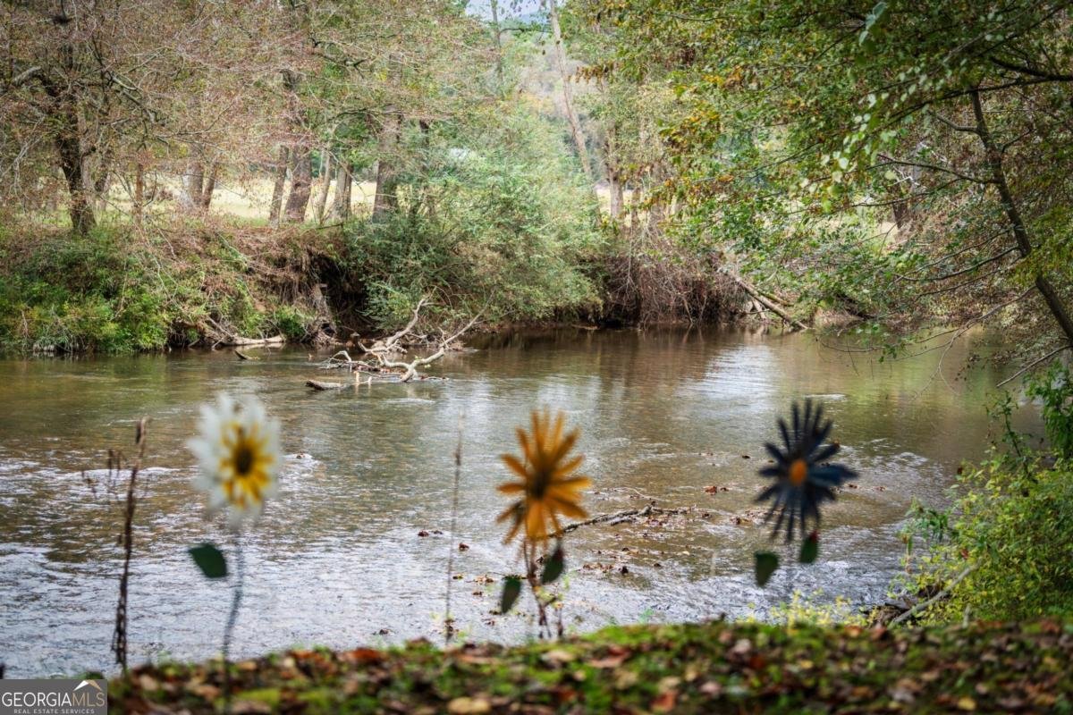 450 Cartecay River Run Ellijay - 50