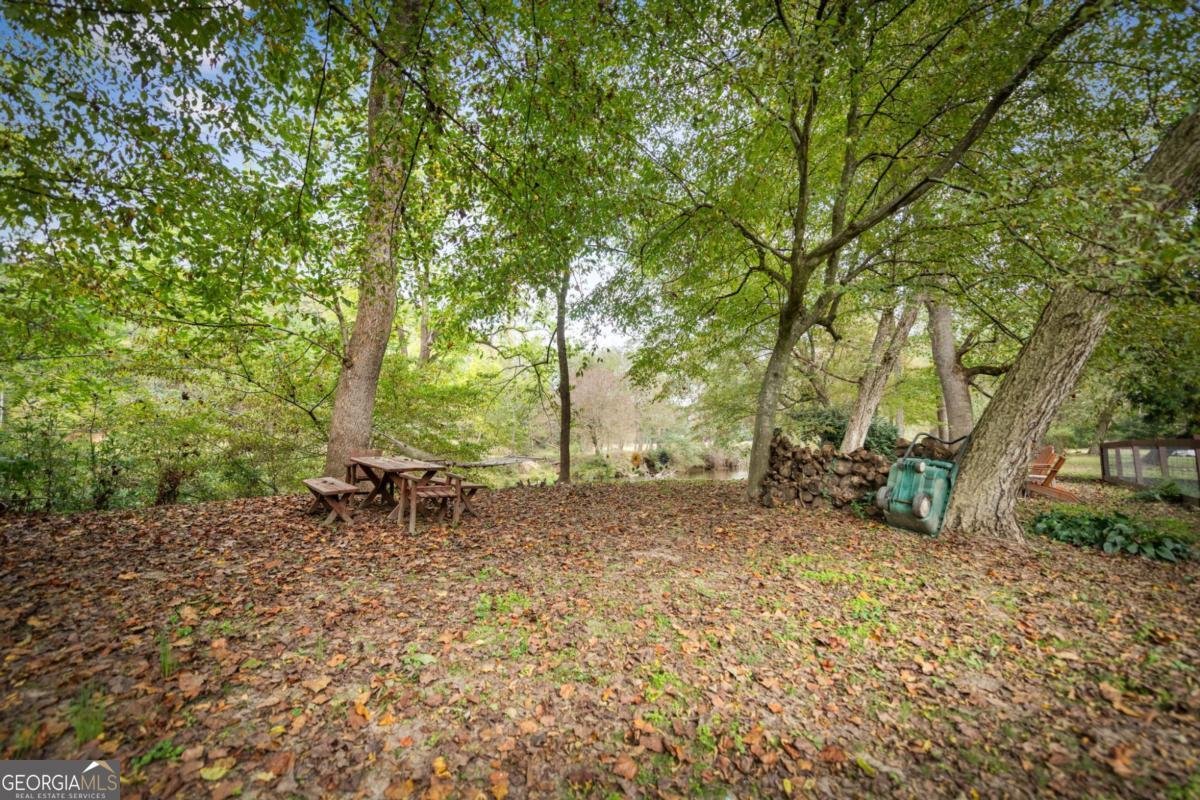 450 Cartecay River Run Ellijay - 52