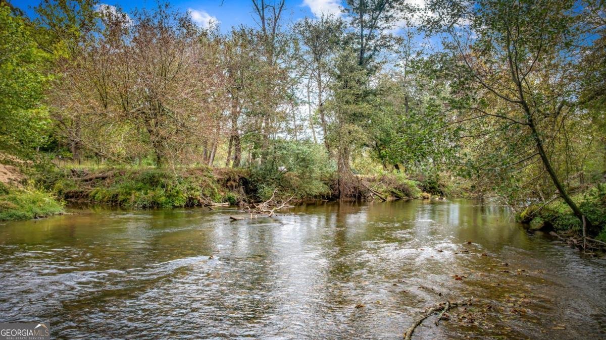 450 Cartecay River Run Ellijay - 53