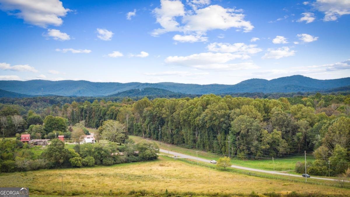 450 Cartecay River Run Ellijay - 61