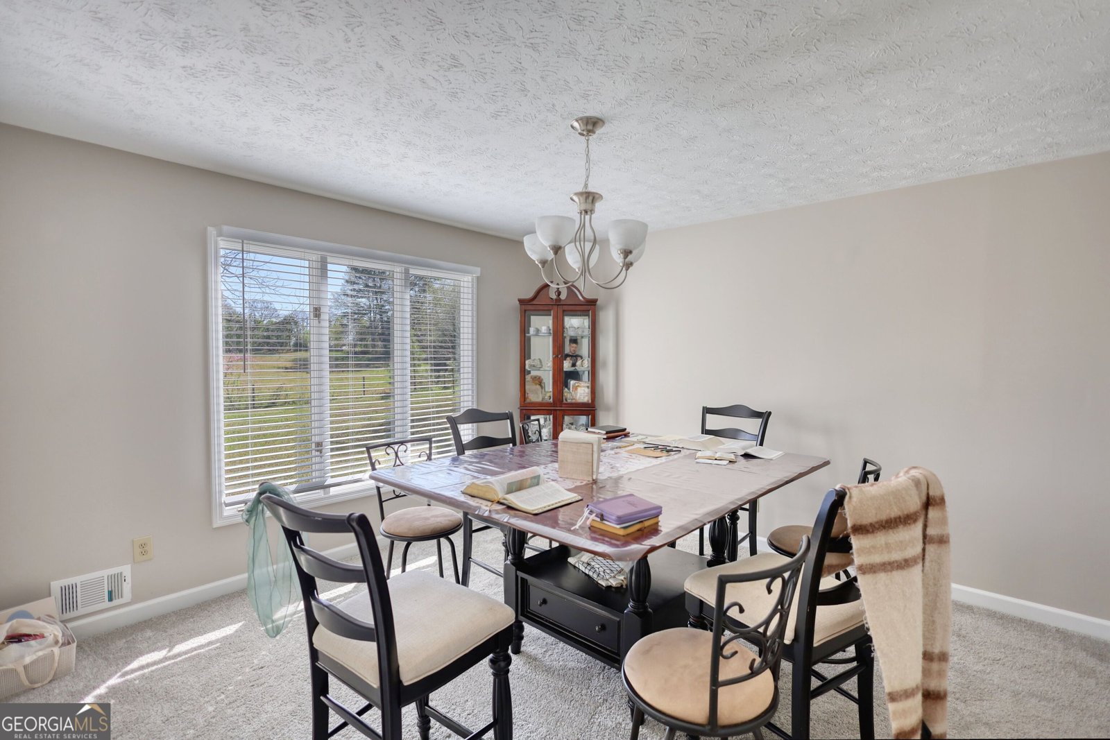 610 Loth Wages Road Dacula - 16