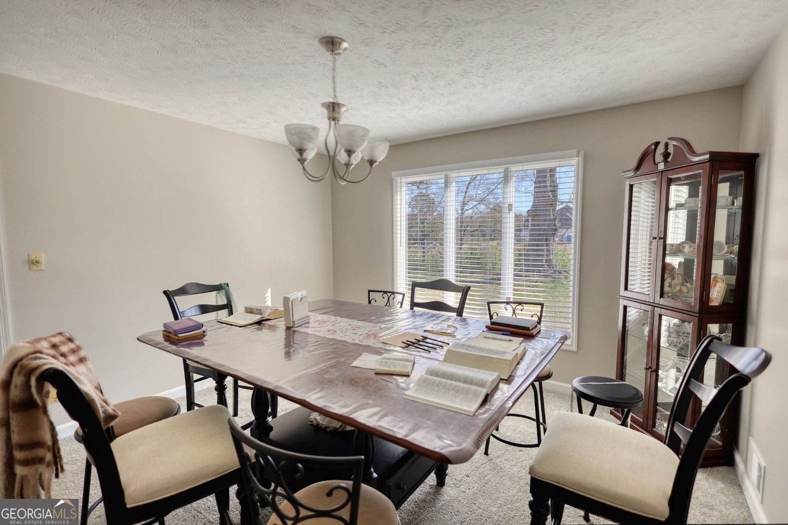 610 Loth Wages Road Dacula - 17