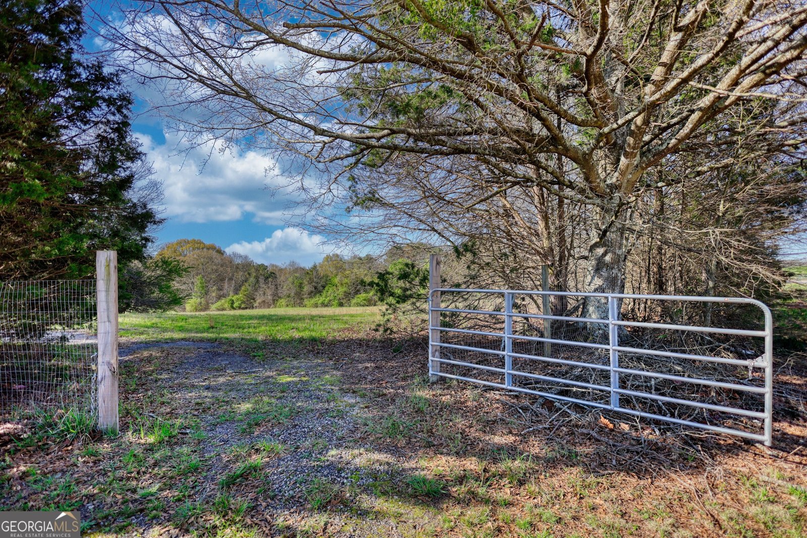 610 Loth Wages Road Dacula - 26