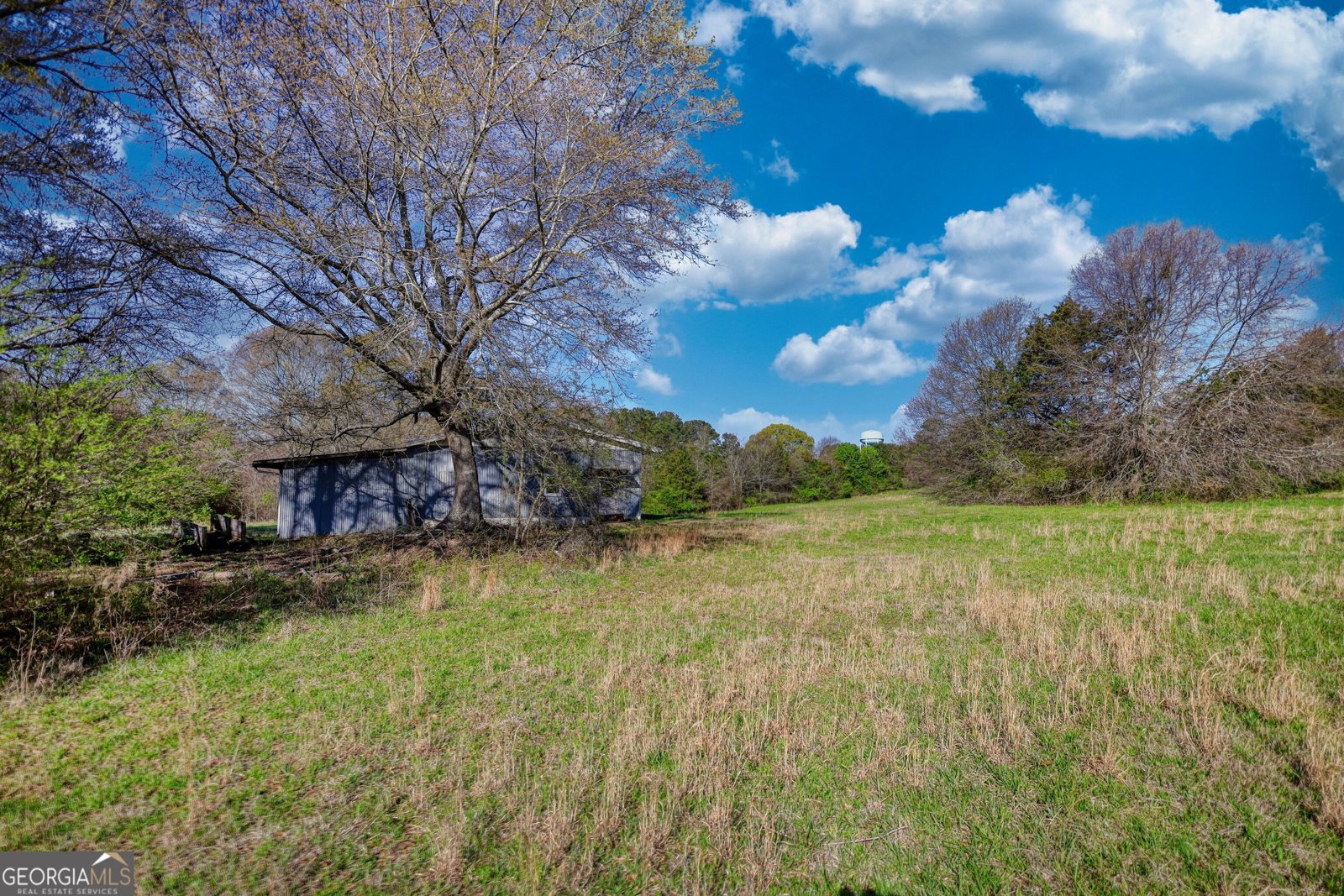 610 Loth Wages Road Dacula - 3