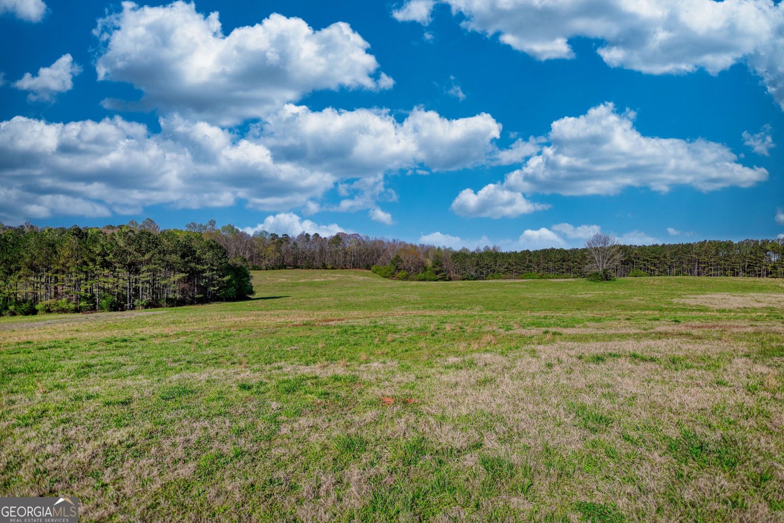 610 Loth Wages Road Dacula - 35