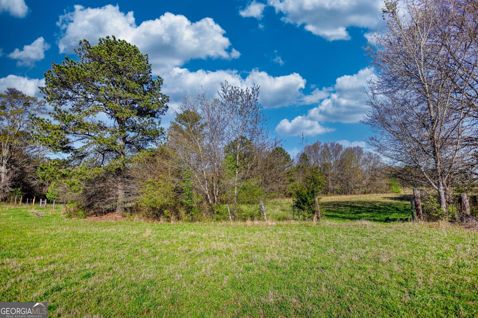 610 Loth Wages Road Dacula - 38