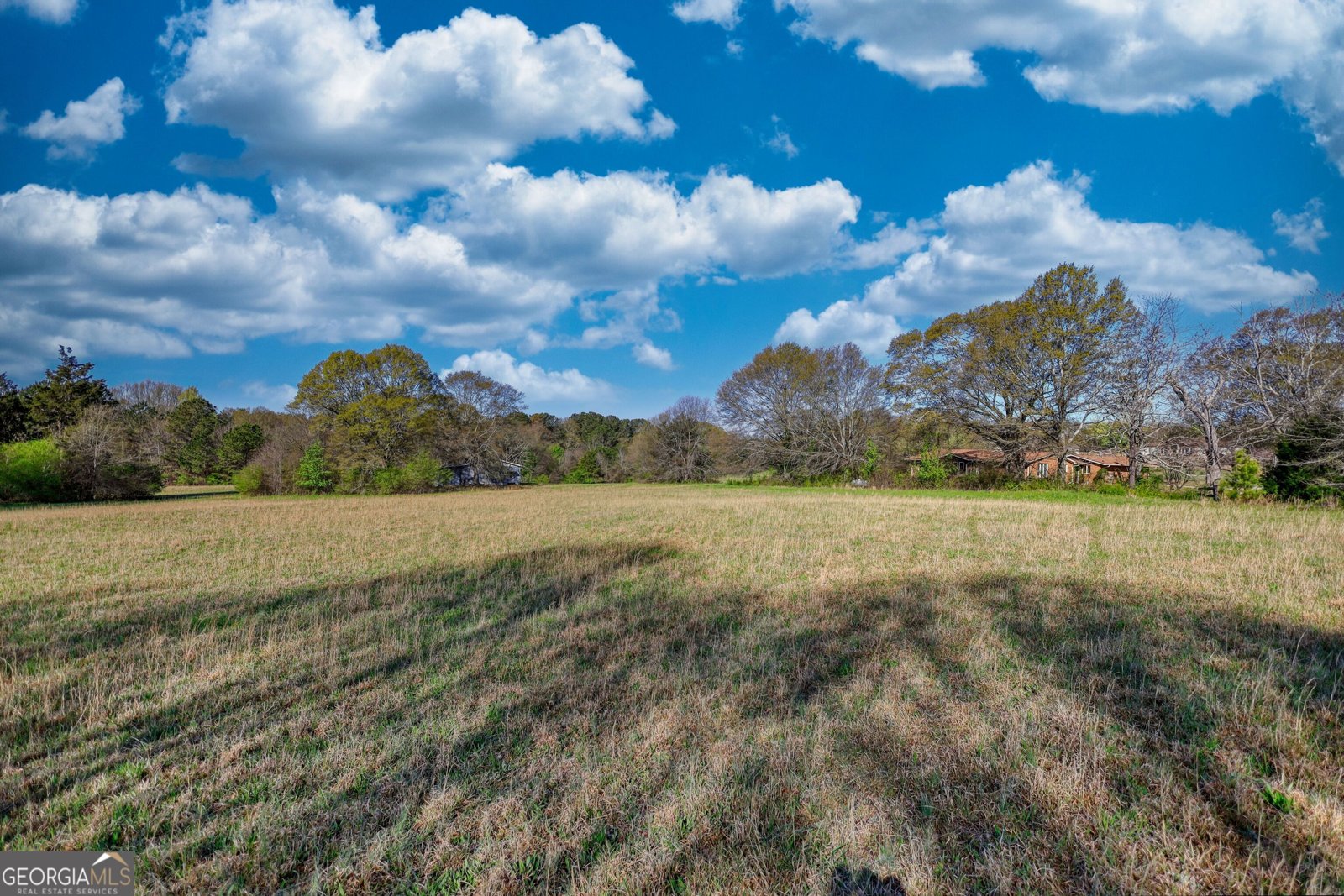 610 Loth Wages Road Dacula - 40