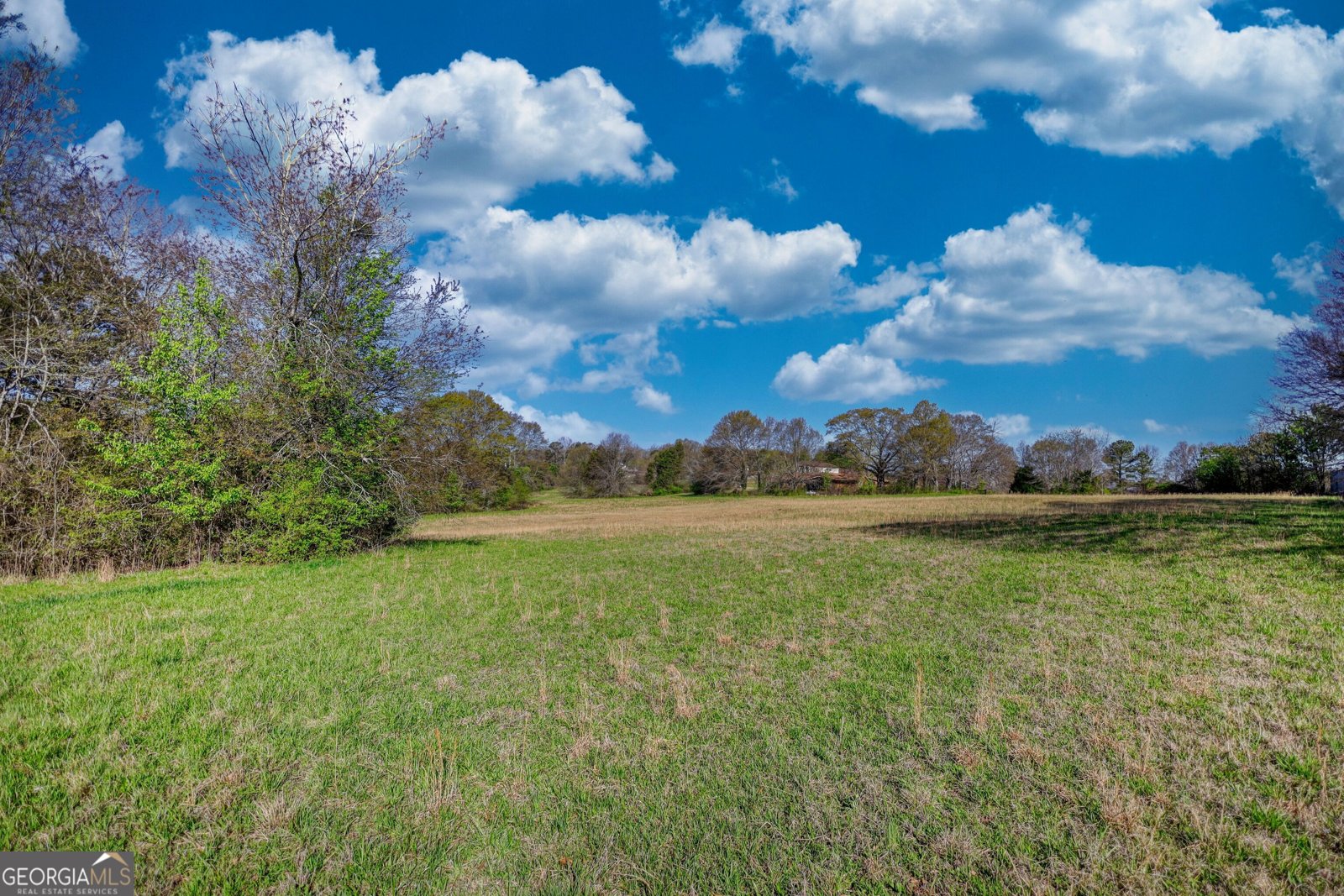 610 Loth Wages Road Dacula - 41