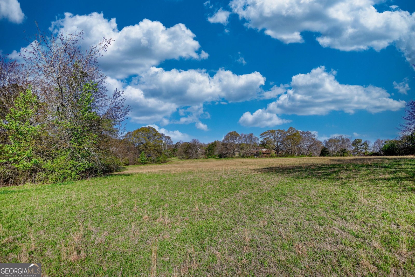 610 Loth Wages Road Dacula - 42