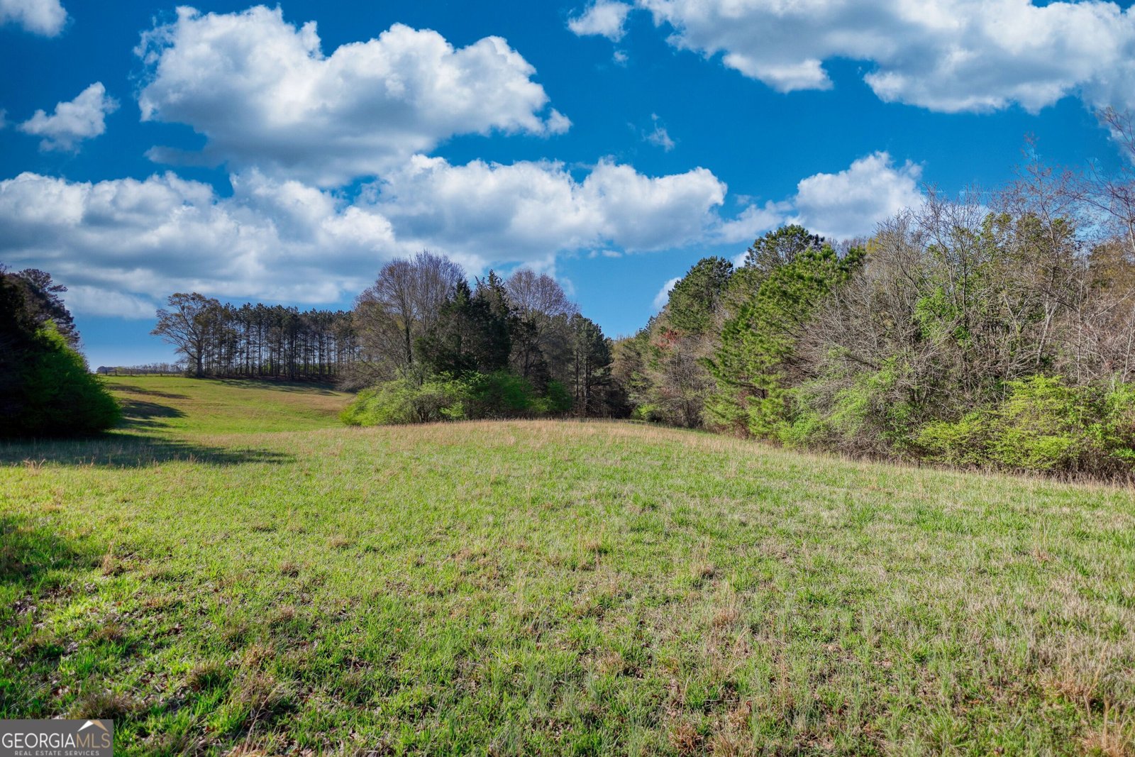 610 Loth Wages Road Dacula - 44