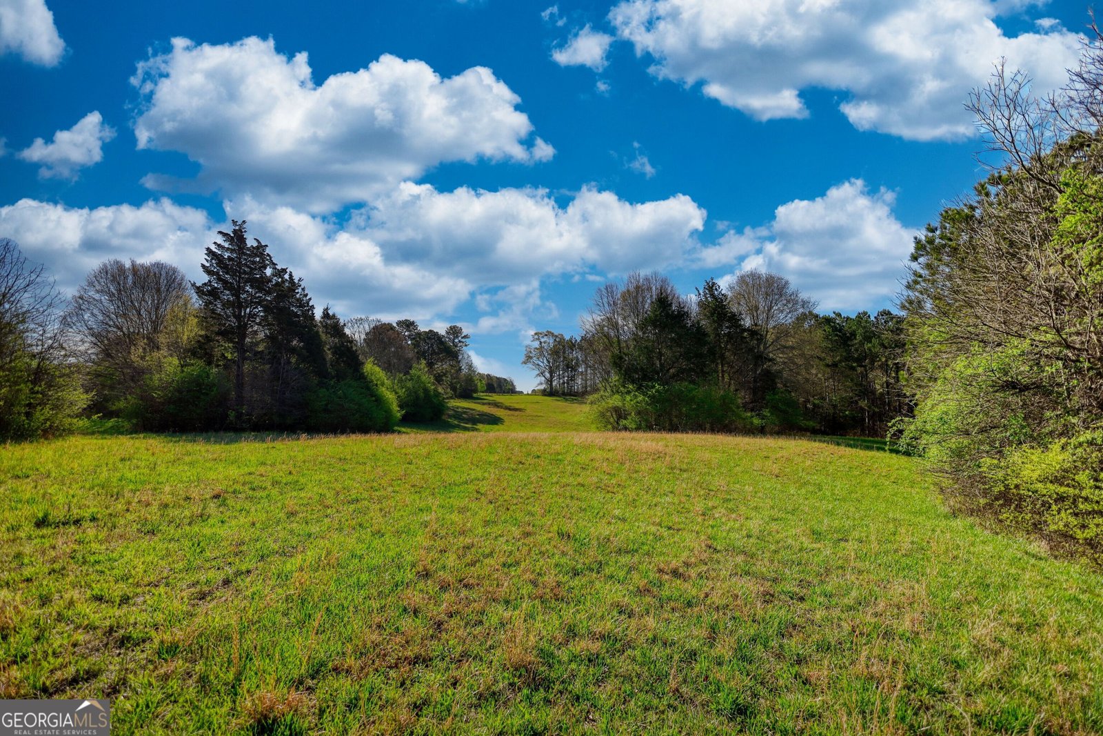 610 Loth Wages Road Dacula - 45
