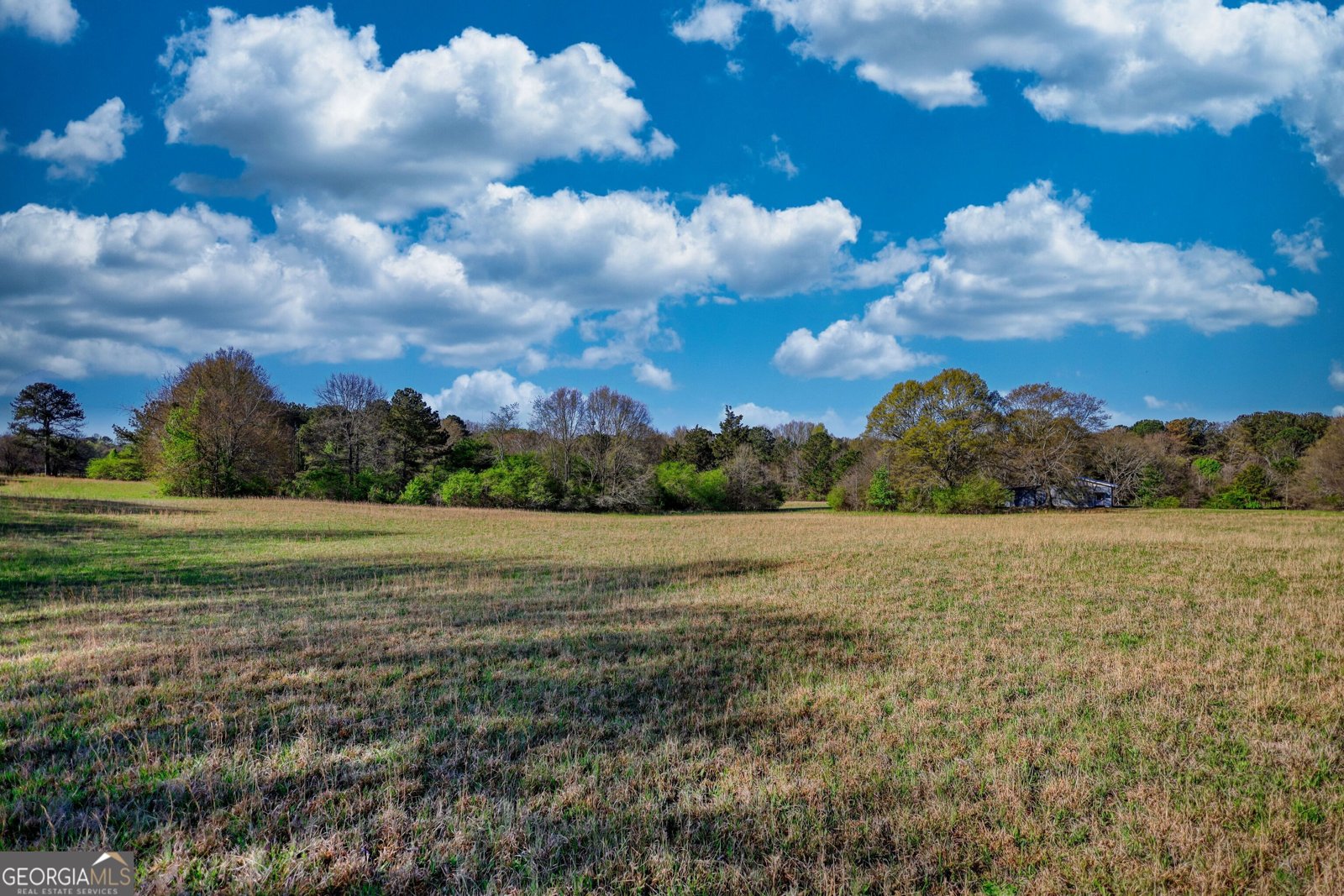 610 Loth Wages Road Dacula - 46