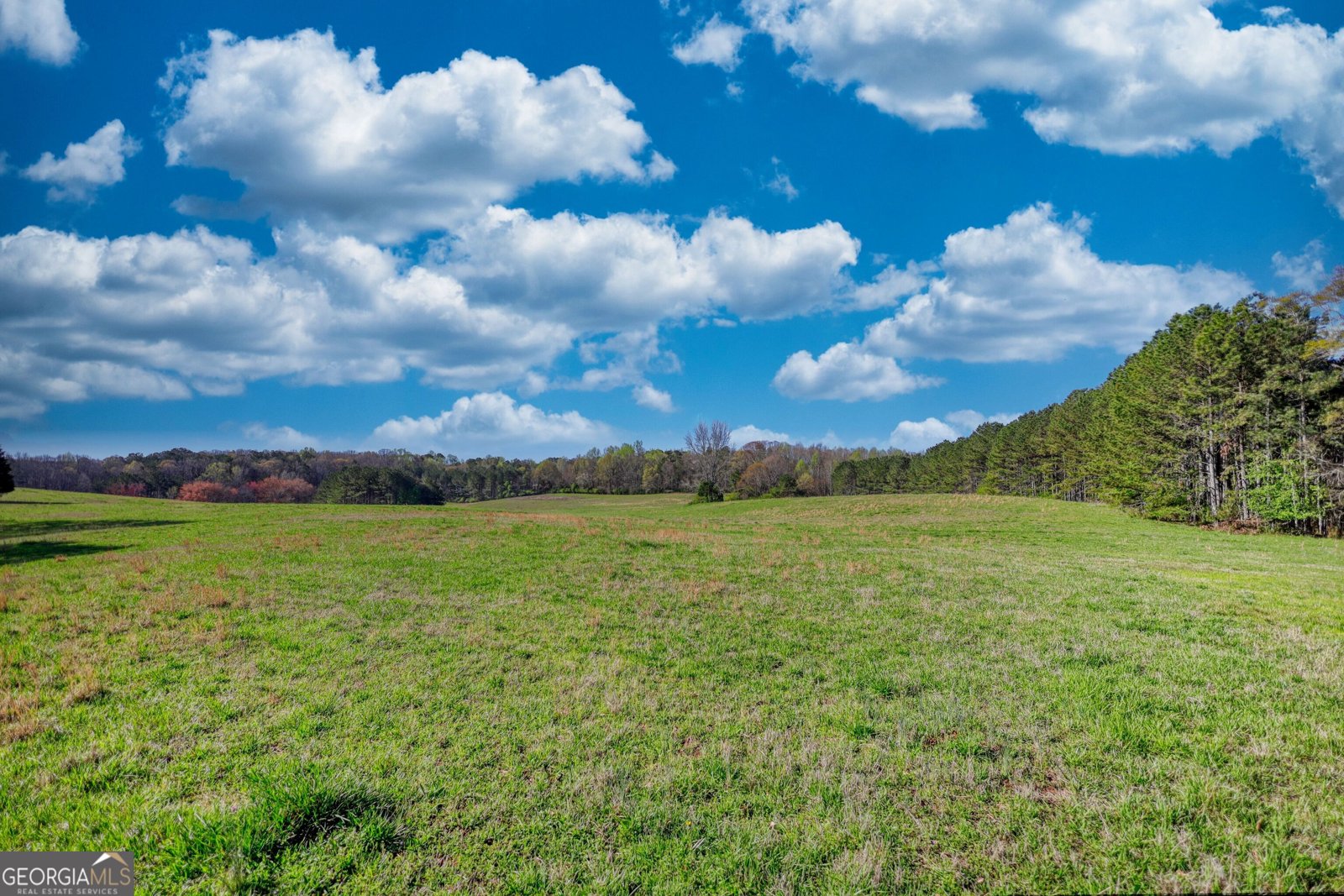 610 Loth Wages Road Dacula - 47