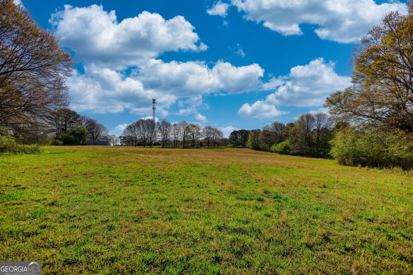 610 Loth Wages Road Dacula - 49