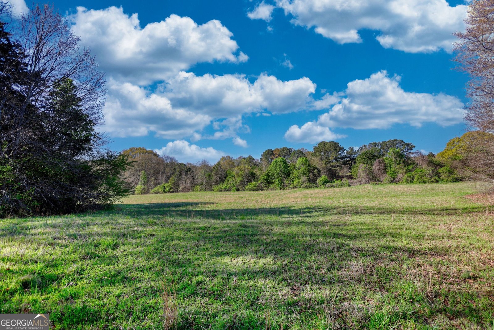 610 Loth Wages Road Dacula - 51