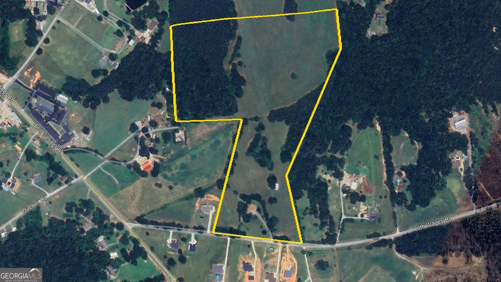 610 Loth Wages Road Dacula - 9