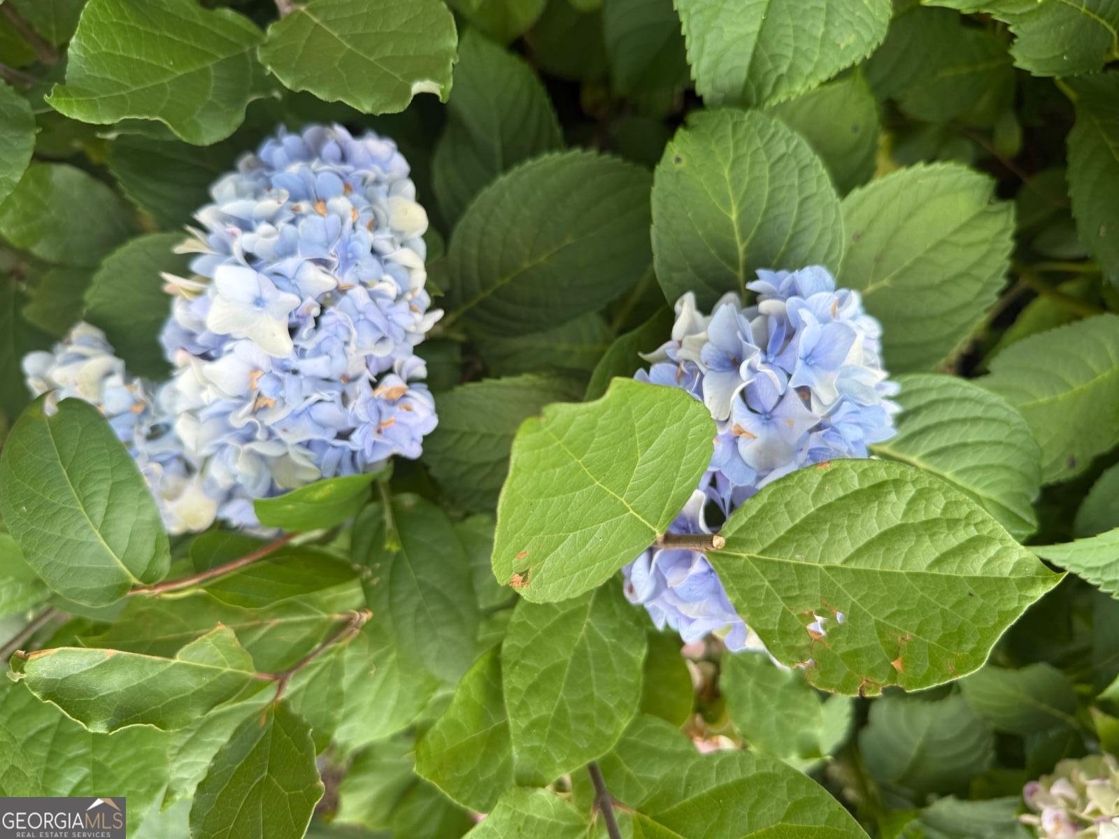 104 Tallahassee Street Hazlehurst - 36