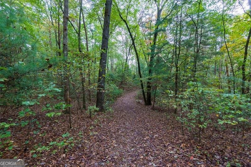 67 Ballard Lane Ellijay - 52