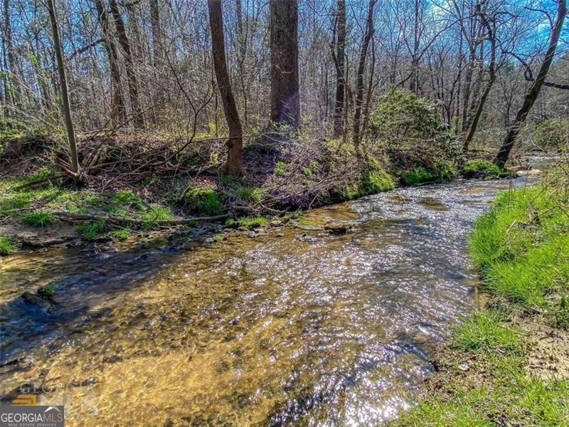 67 Ballard Lane Ellijay - 54