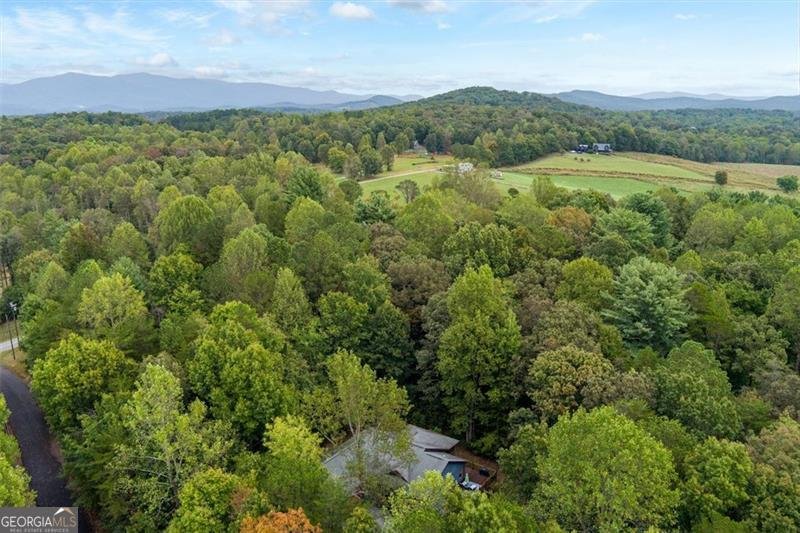67 Ballard Lane Ellijay - 8