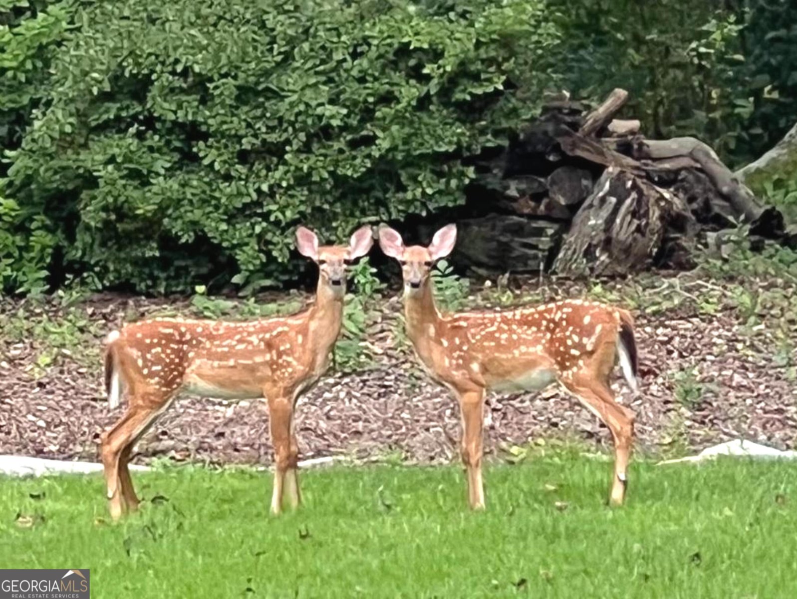 50 Inverness Way Newnan - 33