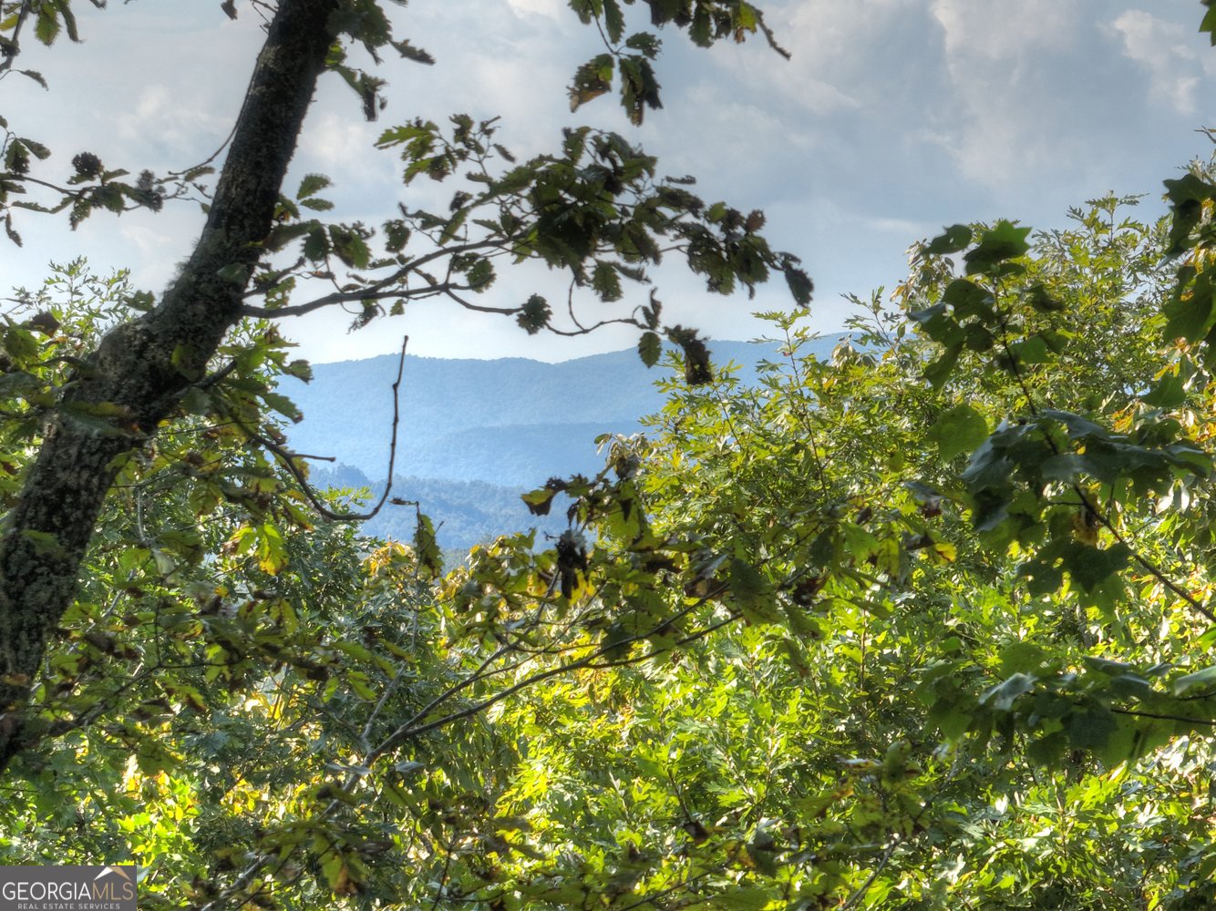 201 Plantation Lane Blue Ridge - 44