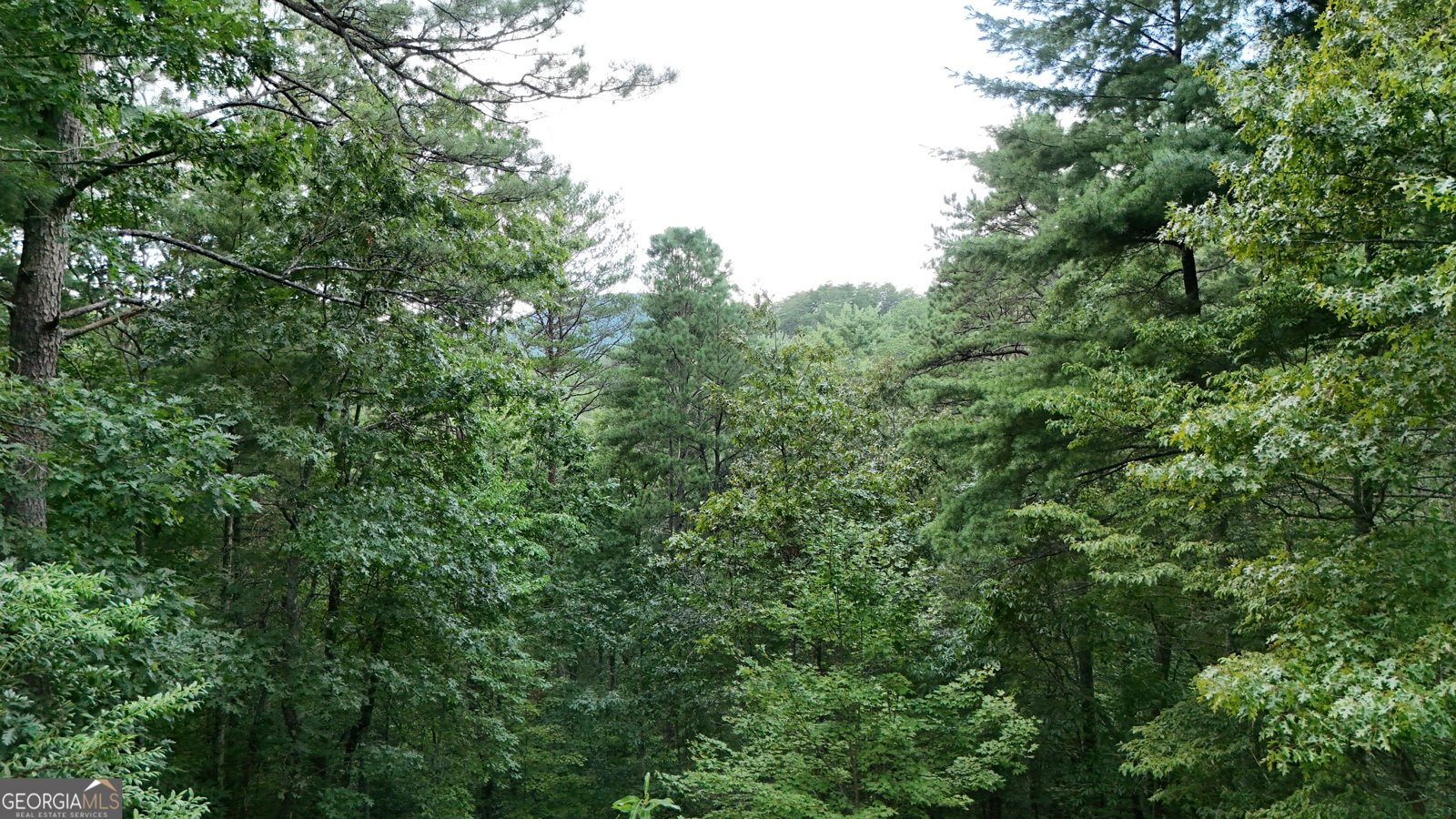 277 Pinecrest Road Sautee Nacoochee - 45