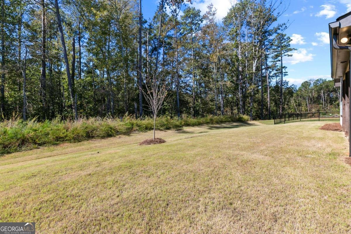 208 Regester Way Peachtree City - 37