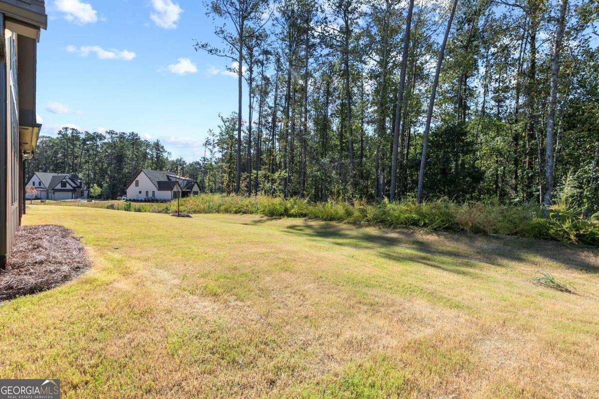 208 Regester Way Peachtree City - 38