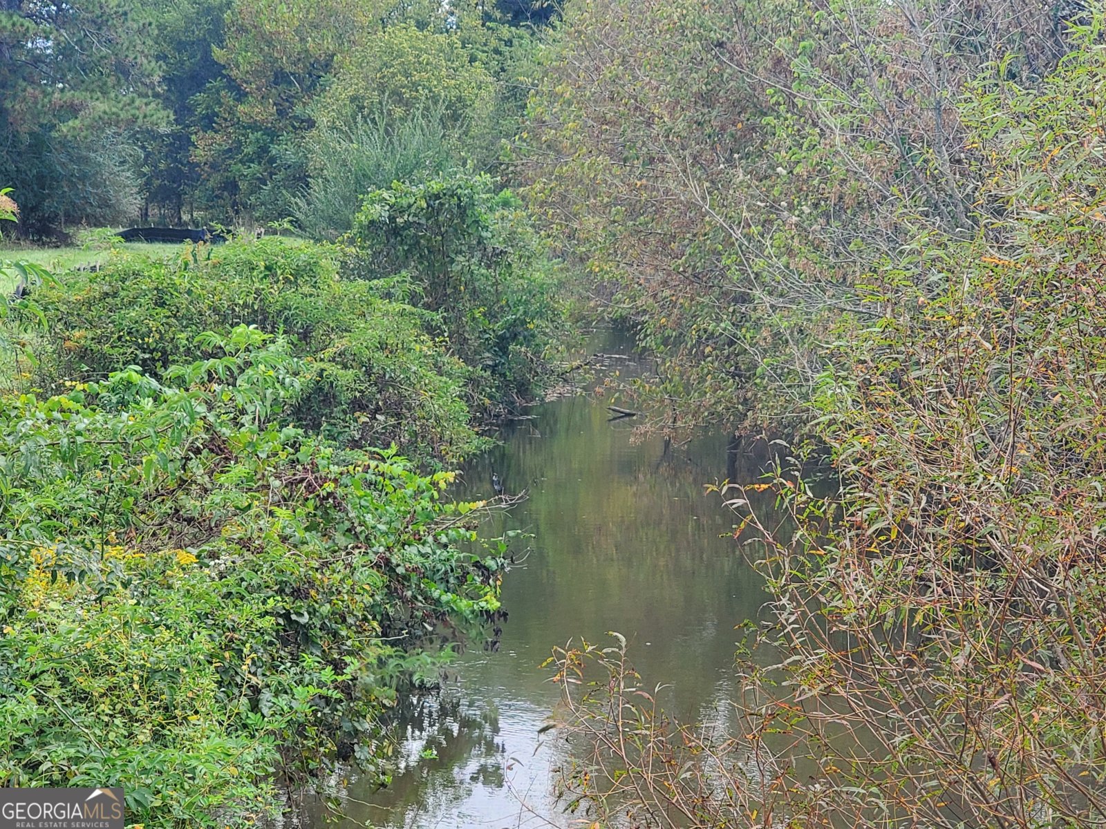 876 Cline Road Resaca - 32