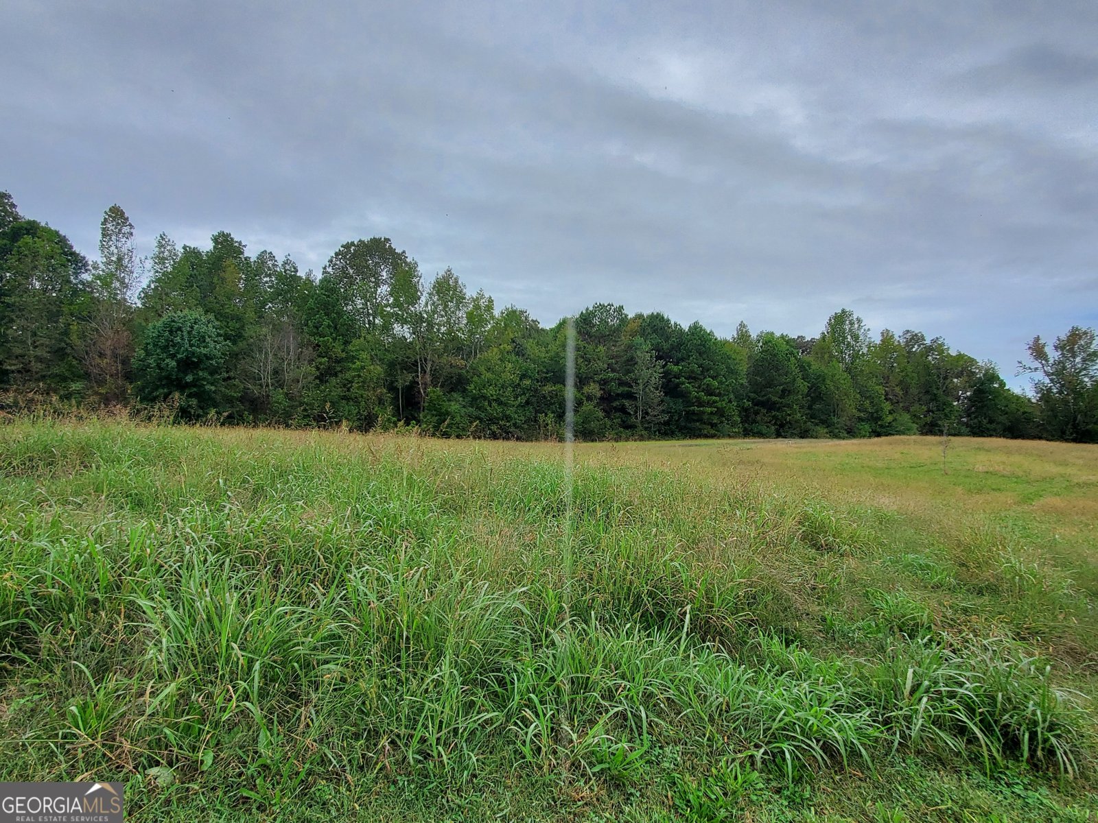 876 Cline Road Resaca - 43