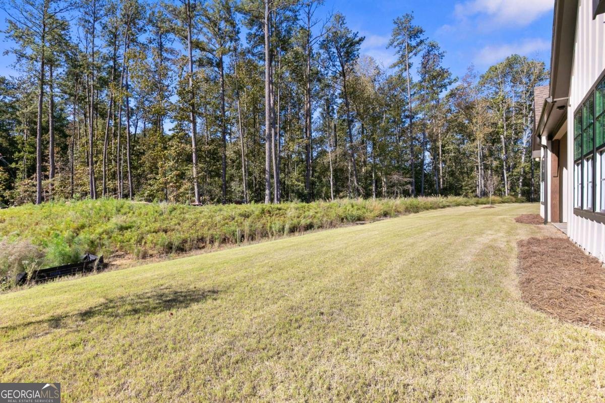 210 Regester Way Peachtree City - 26