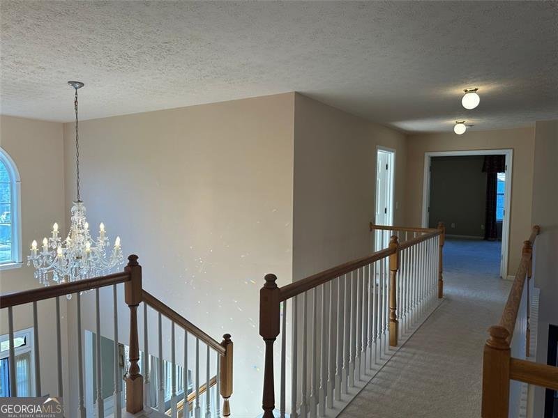 222 BLACK BIRCH Pass Lilburn - 38