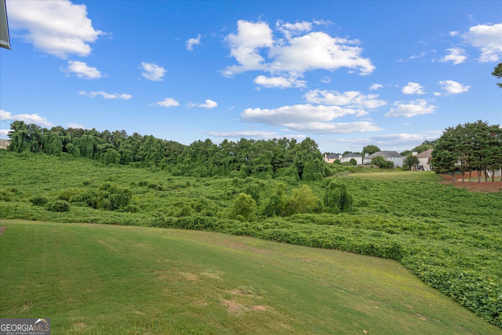 2646 Neighborhood Walk Villa Rica - 45