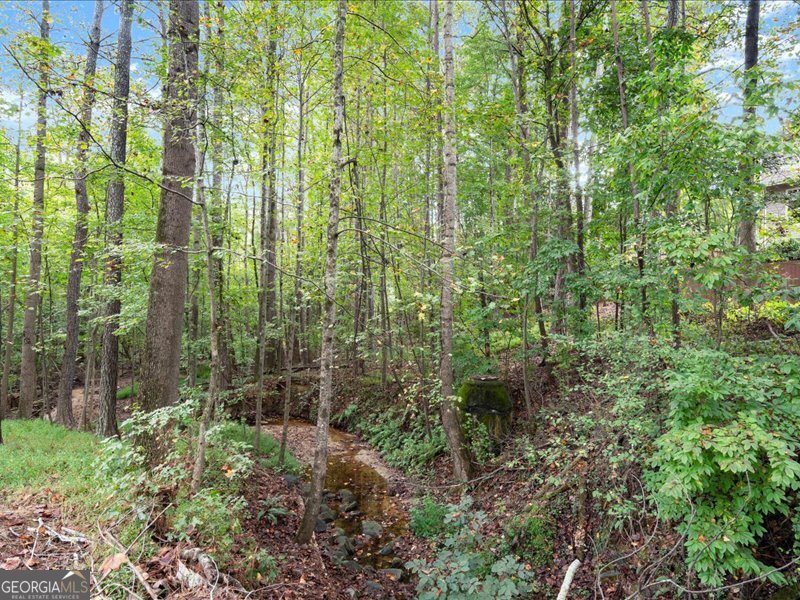 585 Meadows Creek Drive Alpharetta - 20