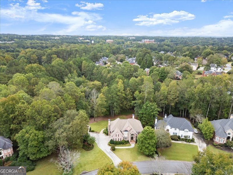 585 Meadows Creek Drive Alpharetta - 27