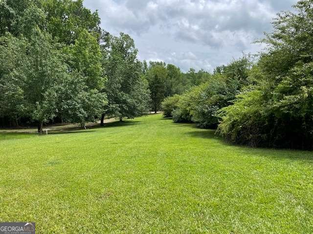 1470 Dunn Road Cumming - 2