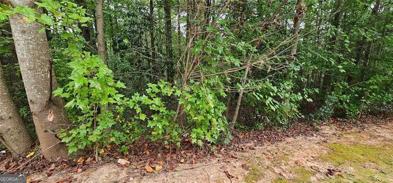 4467 Watson Ridge Drive Stone Mountain - 21