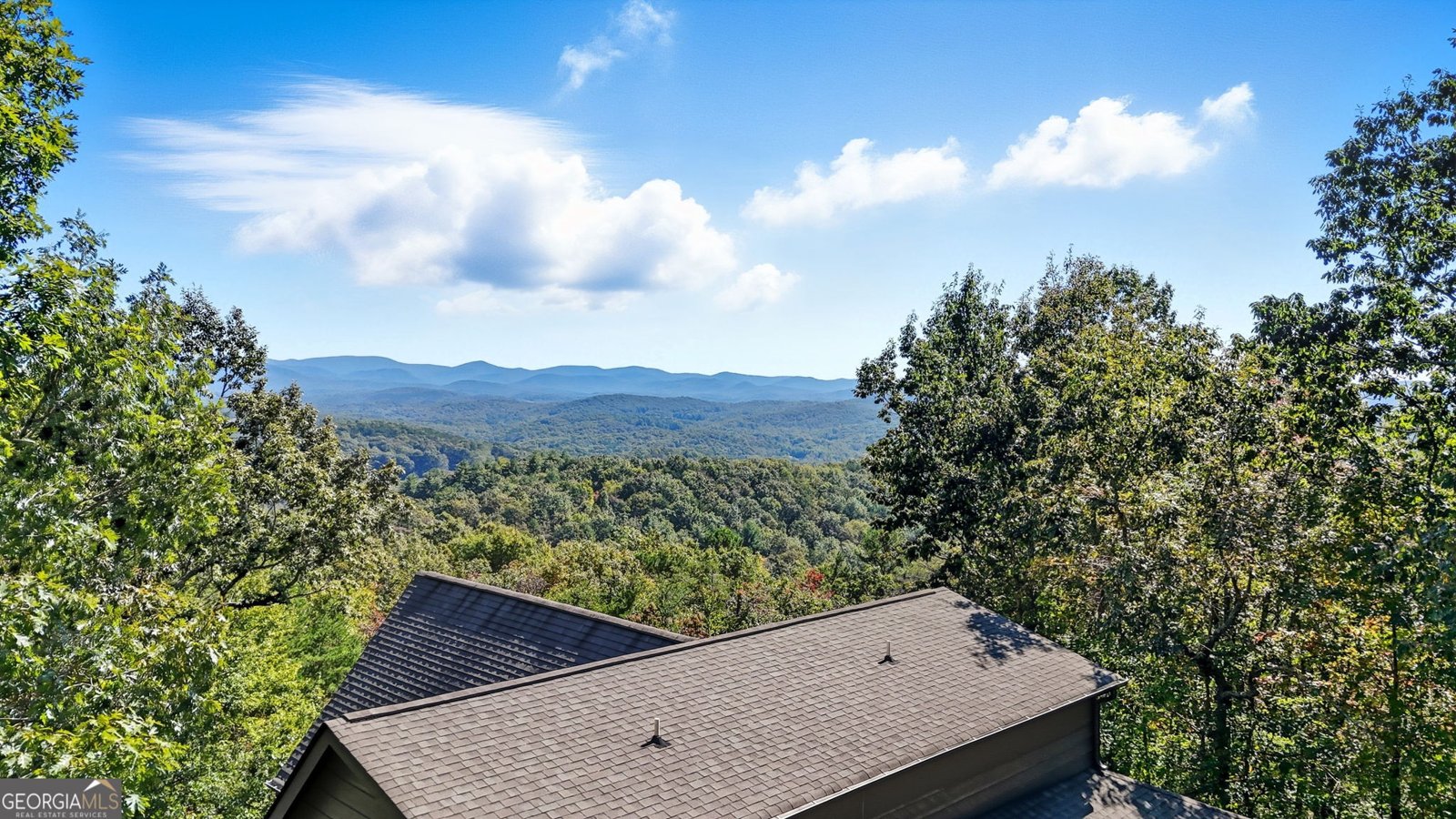 615 Cherokee Circle Ellijay - 46