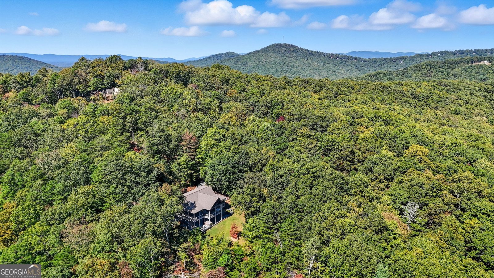 615 Cherokee Circle Ellijay - 48