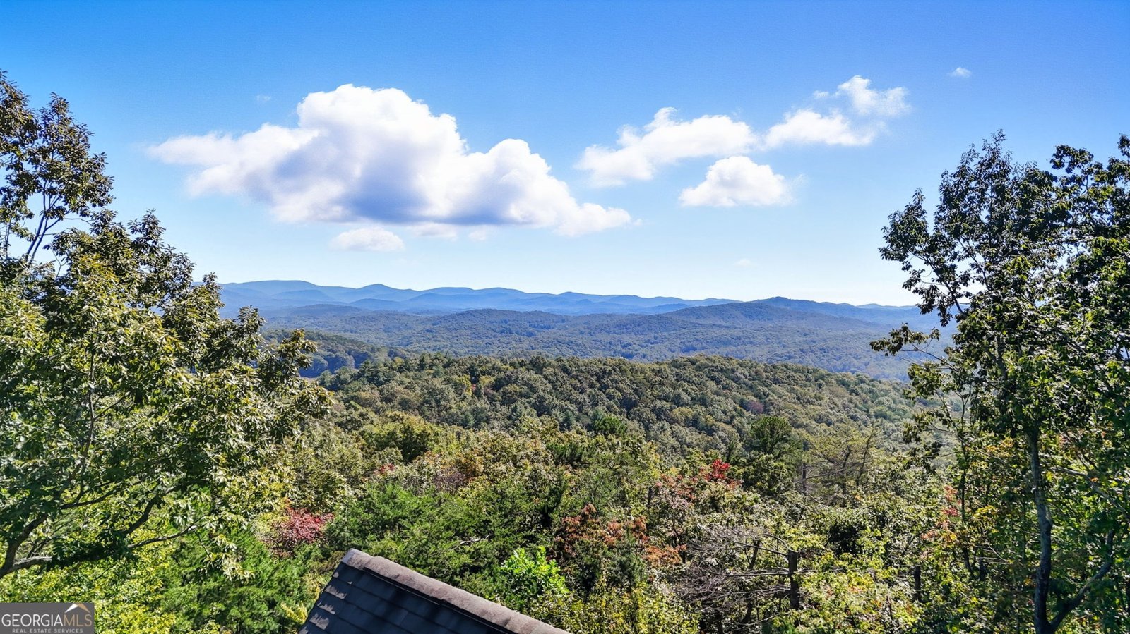 615 Cherokee Circle Ellijay - 53