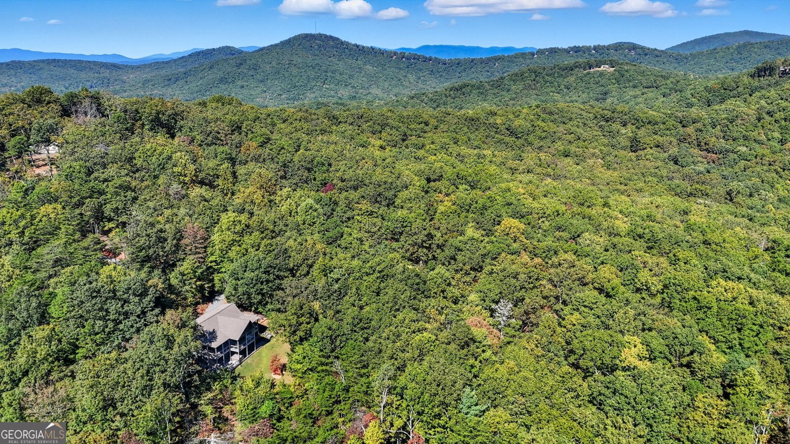 615 Cherokee Circle Ellijay - 54