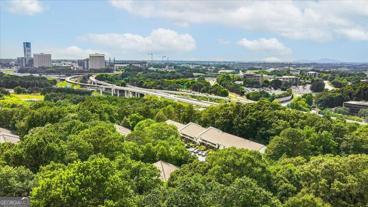 1217 Highland Bluff Drive Atlanta - 30